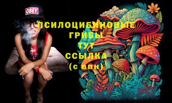 эйфоретик Абаза