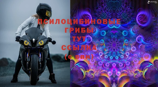 каннабис Алексеевка