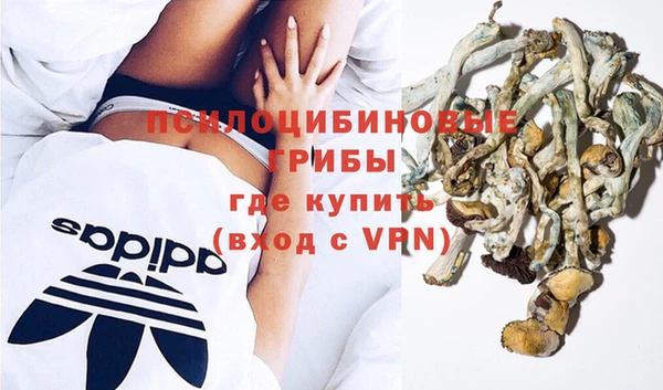 эйфоретик Абаза