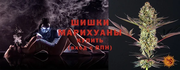 ПСИЛОЦИБИНОВЫЕ ГРИБЫ Осинники